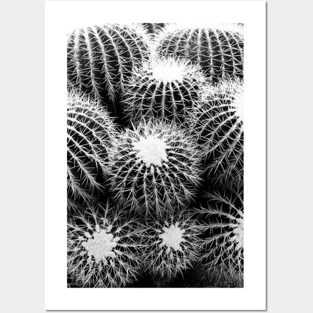 Cacti Wall Art by fineart